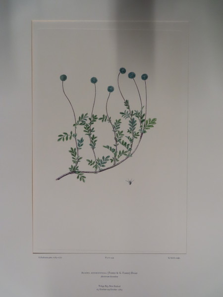 image FDA-E.2916_21_14-2016