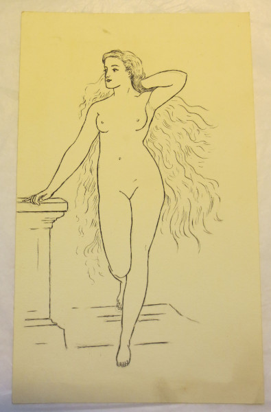 image FDA-D.1595_15-2018