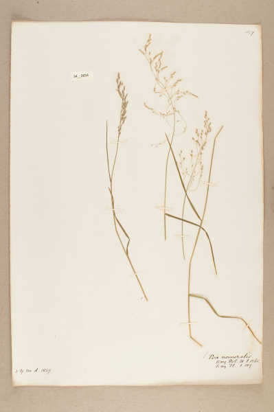 NHM_HH_34.54-2010 image NHM_HH_34.54-2010