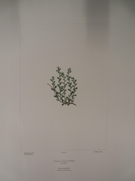 image FDA-E.2916_23_15-2016