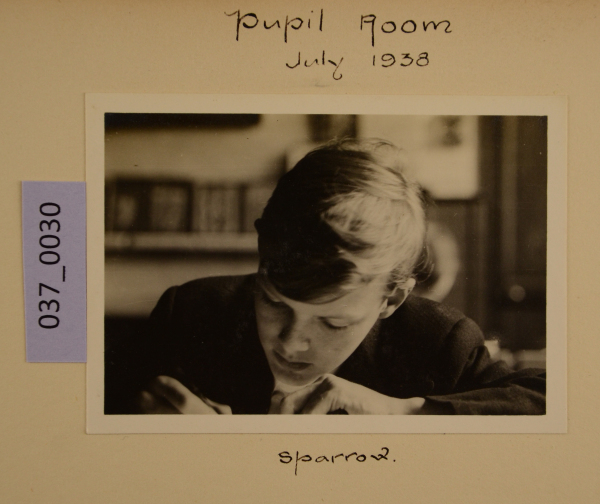 PA-A.37_30-2012 image PA-A.37_30-2012