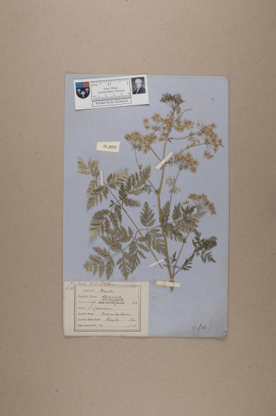 NHM_HH_21.72-2010 image NHM_HH_21.72-2010