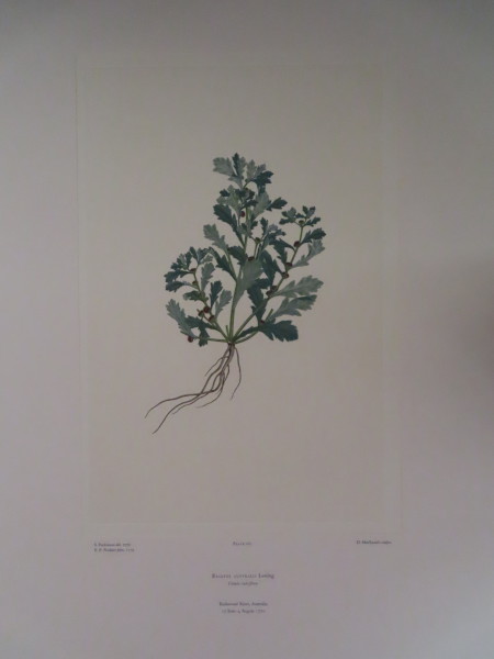 image FDA-E.2916_8_8-2016-A