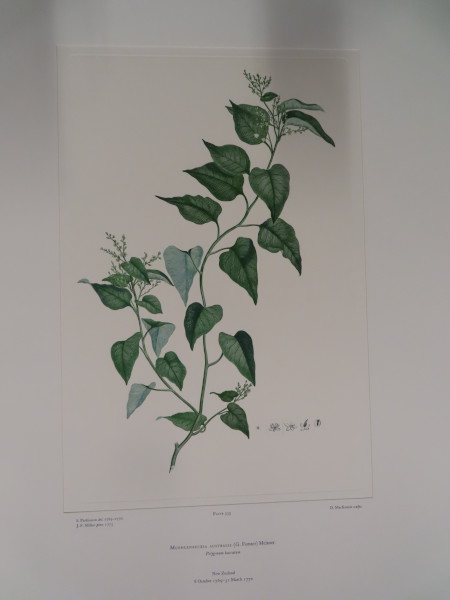 image FDA-E.2916_25_21-2016-A