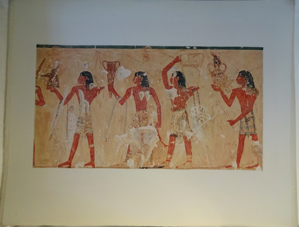 image FDA-E.3055_67-2018