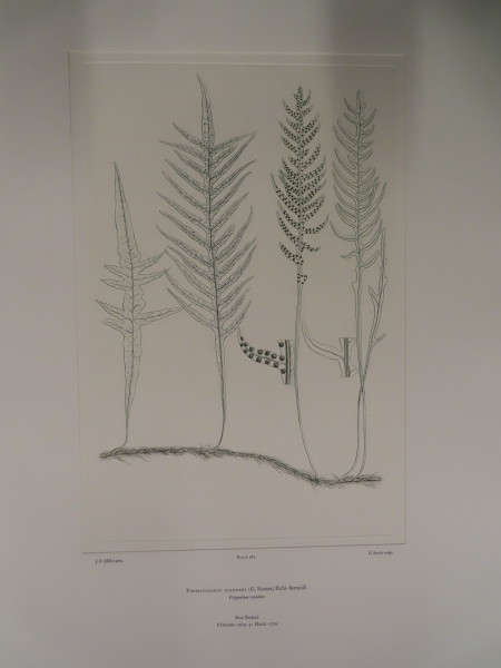 FDA-E.2916_27_22-2016 image FDA-E.2916_27_22-2016