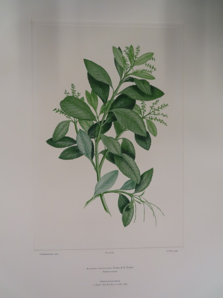 image FDA-E.2916_31_15-2016-A