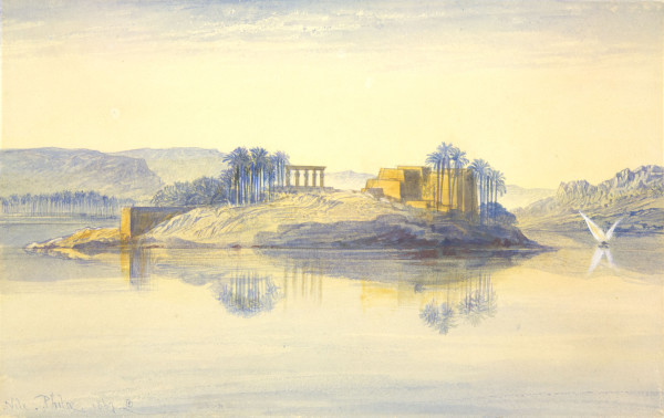 FDA-D.329-2010 image FDA-D.329-2010