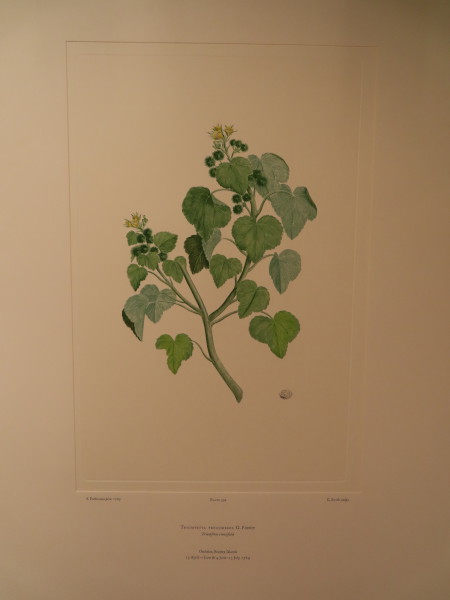 FDA-E.2916_28_11-2016 image FDA-E.2916_28_11-2016