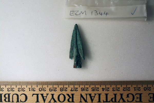 ECM.1344-2010-B image ECM.1344-2010-B