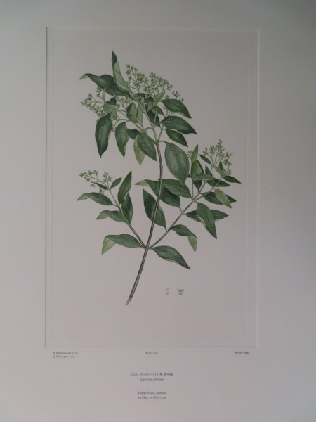 image FDA-E.2916_10_5-2016-A