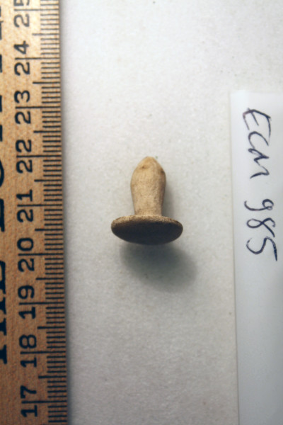 ECM.985-2010-A image ECM.985-2010-A