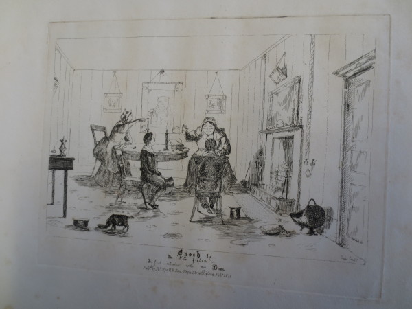 FDA-V.20-2016-F image FDA-V.20-2016-F