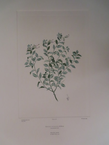 FDA-E.2916_13_11-2016-A image FDA-E.2916_13_11-2016-A