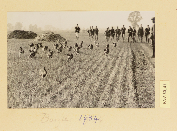 PA-A.50_41-2013 image PA-A.50_41-2013