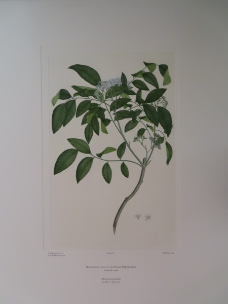 image FDA-E.2916_2_19-2016-A