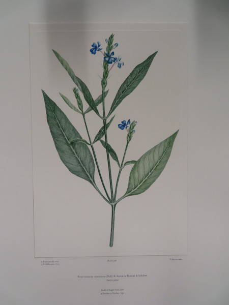 image FDA-E.2916_18_6-2016-A