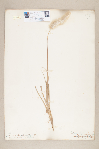 NHM_HH_45.6-2010 image NHM_HH_45.6-2010