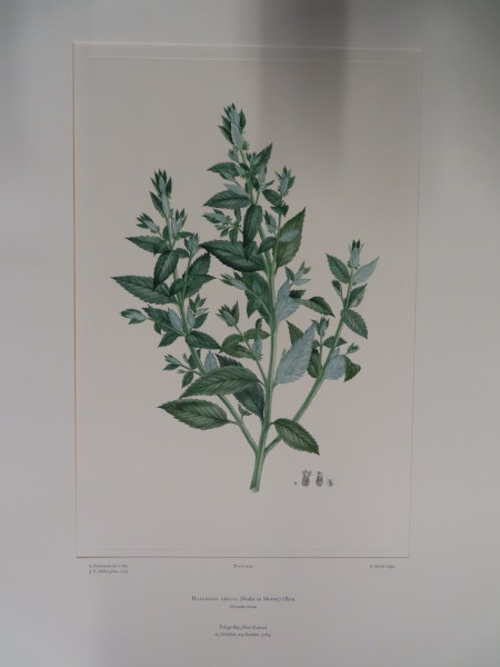 image FDA-E.2916_21_19-2016