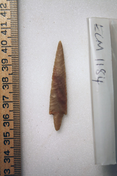 ECM.1184-2010-A image ECM.1184-2010-A