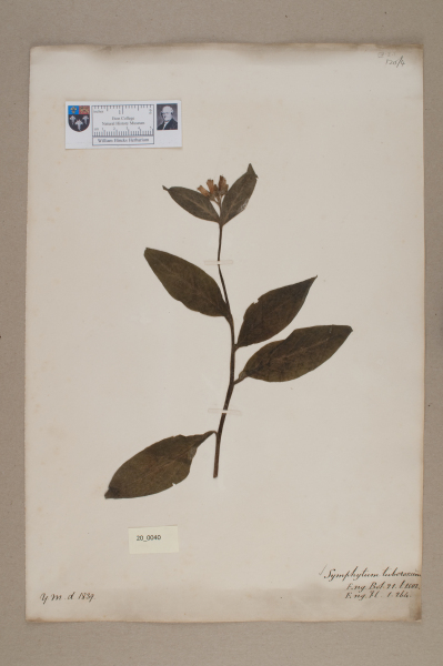 NHM_HH_20.40-2010 image NHM_HH_20.40-2010