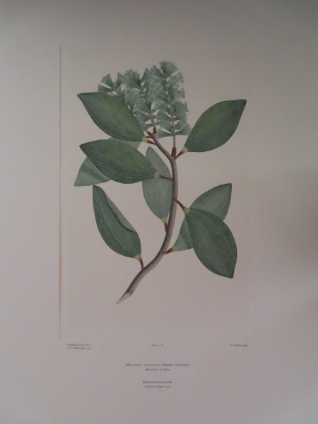 image FDA-E.2916_6_9-2016-A