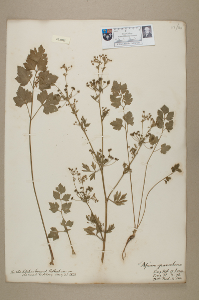 NHM_HH_22.15-2010 image NHM_HH_22.15-2010