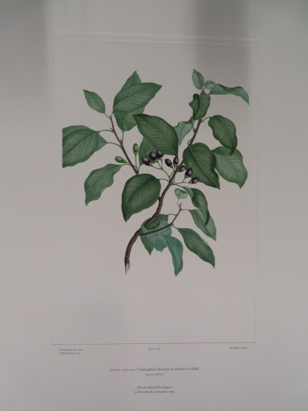 FDA-E.2916_25_26-2016-A image FDA-E.2916_25_26-2016-A