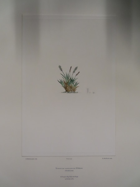 FDA-E.2916_34_24-2016 image FDA-E.2916_34_24-2016