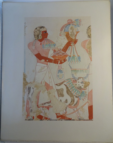 FDA-E.3055_77-2018 image FDA-E.3055_77-2018