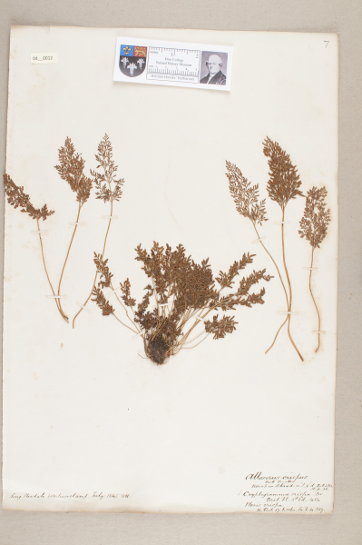 NHM_HH_4.12-2010 image NHM_HH_4.12-2010