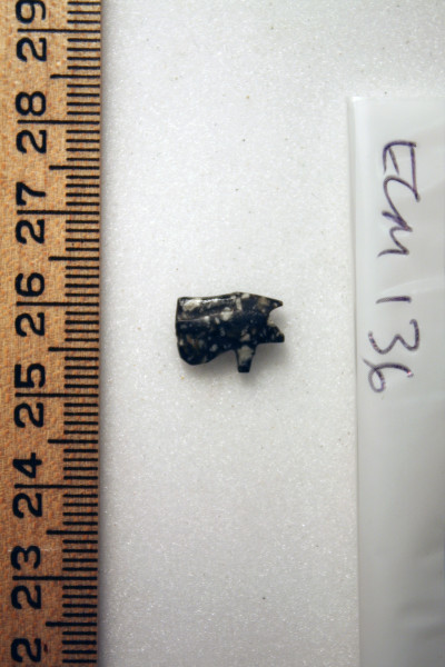 ECM.136-2010-A image ECM.136-2010-A