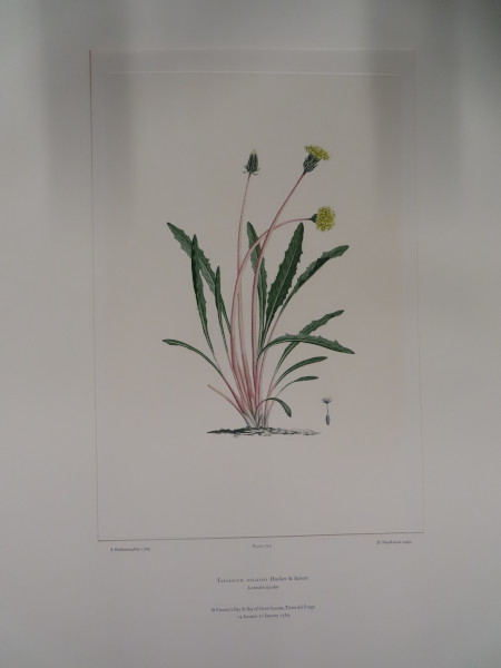 image FDA-E.2916_33_22-2016