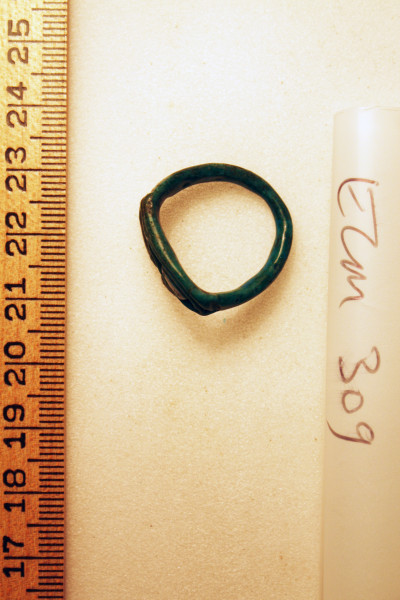 ECM.309-2010-B image ECM.309-2010-B