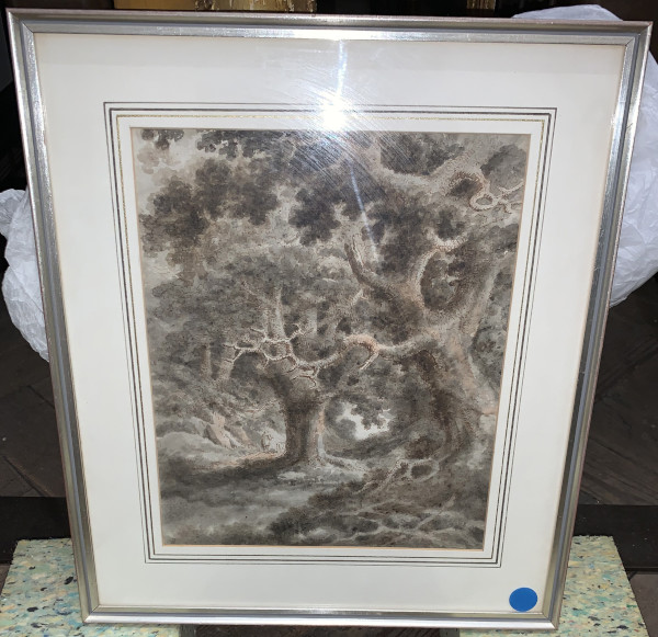 FDA-D.1655-2021-A image FDA-D.1655-2021-A