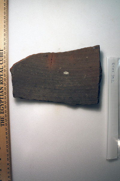 ECM.352-2010-B image ECM.352-2010-B