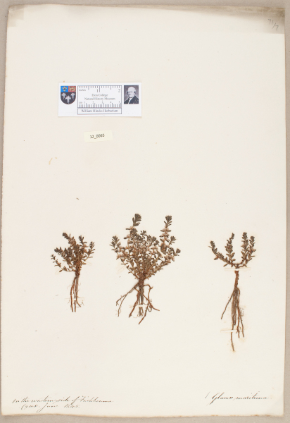 NHM_HH_12.65-2010 image NHM_HH_12.65-2010