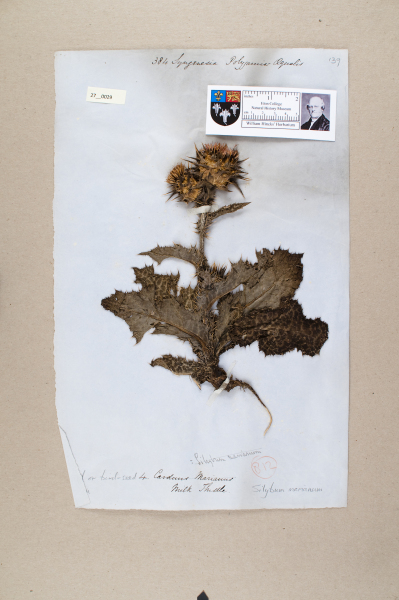 NHM_HH_27.29-2010 image NHM_HH_27.29-2010