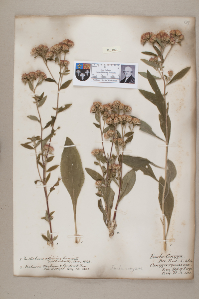 NHM_HH_29.1-2010 image NHM_HH_29.1-2010