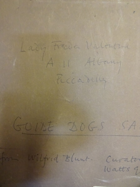 image FDA-P.313-2010-E