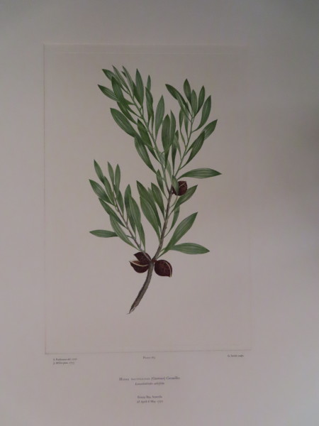 image FDA-E.2916_13_16-2016-A