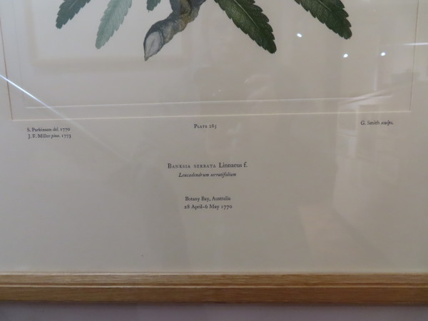 image FDA-E.2916_13_18-2016-B