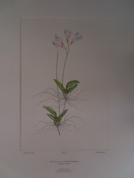 FDA-E.2916_16_23-2016 image FDA-E.2916_16_23-2016