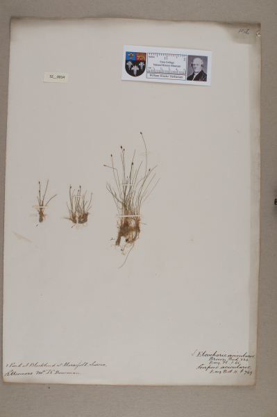 NHM_HH_32.14-2010 image NHM_HH_32.14-2010