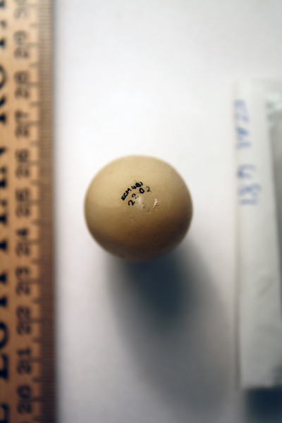 ECM.481-2010-B image ECM.481-2010-B