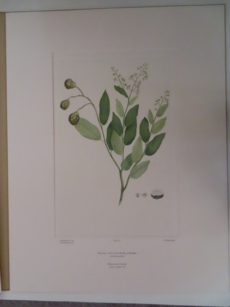 image FDA-E.2916_5_10-2016