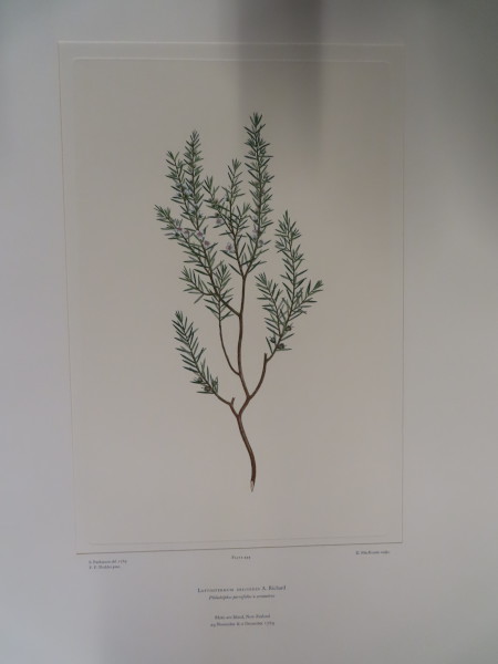 image FDA-E.2916_21_24-2016-A