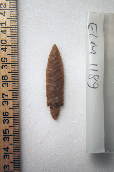 ECM.1189-2010-A image ECM.1189-2010-A