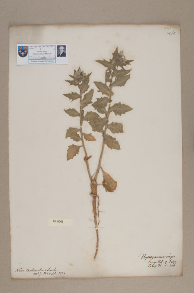 NHM_HH_20.5-2010 image NHM_HH_20.5-2010