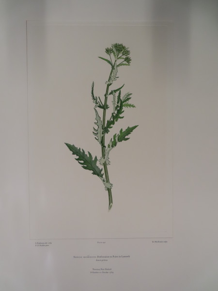 FDA-E.2916_23_25-2016-A image FDA-E.2916_23_25-2016-A